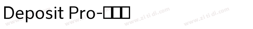 Deposit Pro字体转换